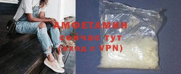 прущие грибы Осташков