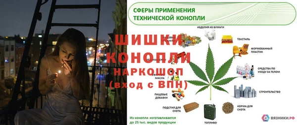 прущие грибы Осташков