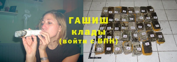 прущие грибы Осташков