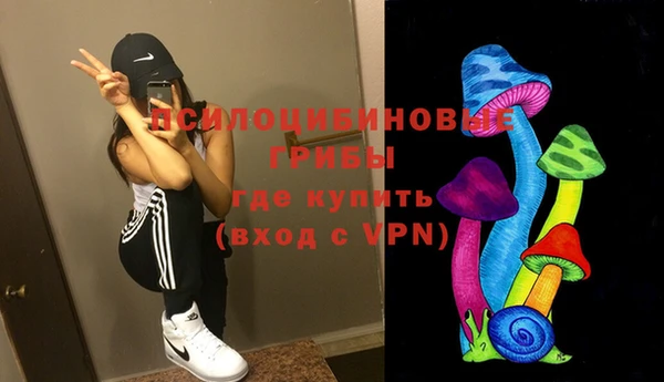 прущие грибы Осташков
