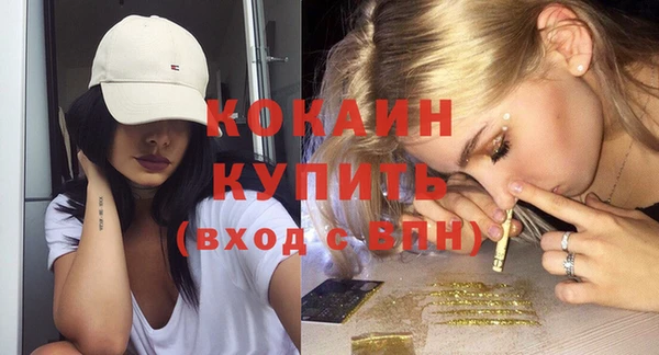 прущие грибы Осташков