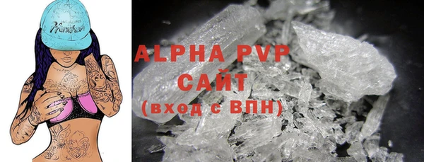 прущие грибы Осташков