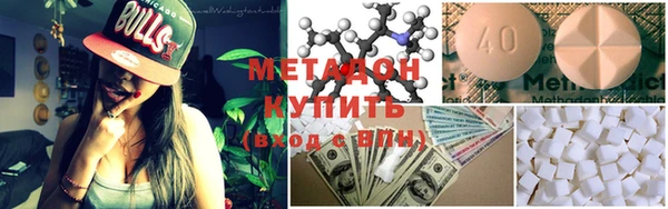 прущие грибы Осташков