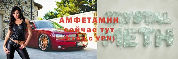 прущие грибы Осташков