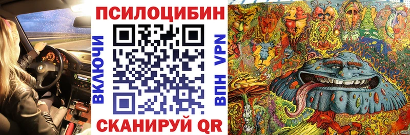 Псилоцибиновые грибы Psilocybe  Киренск 